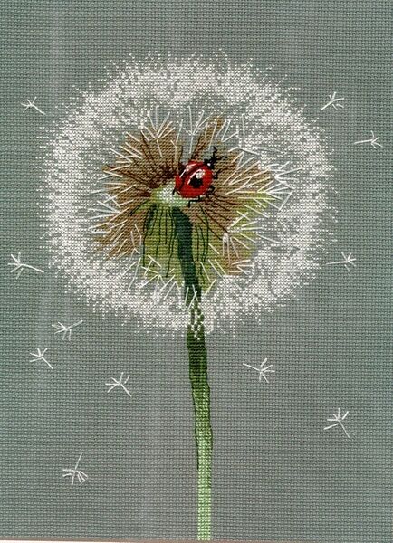 Dandelion
