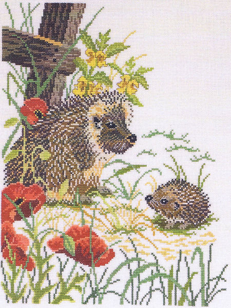 Hedgehogs