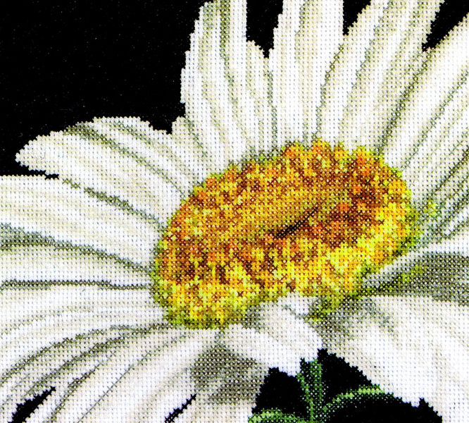 Marguerite