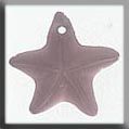 Star Fish Treasure