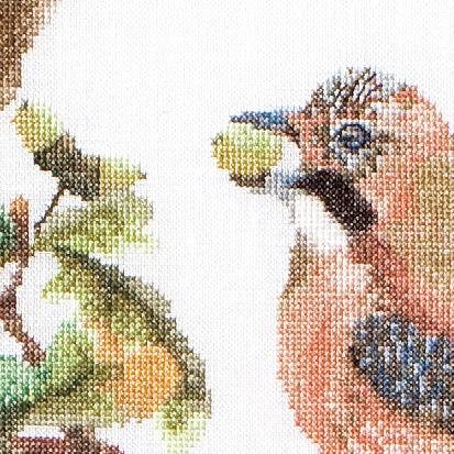 Jays (view 2)