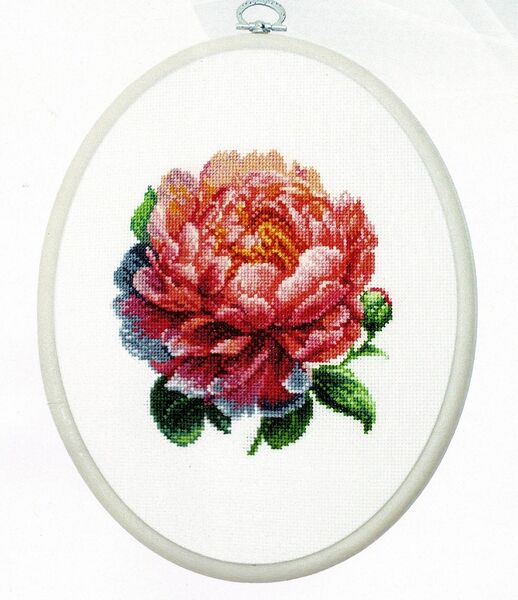 Coral Charm Peony