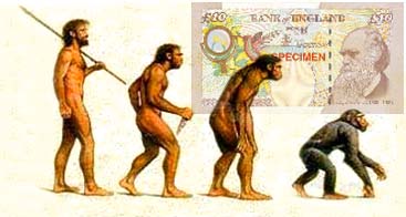 The Evolution of Banking