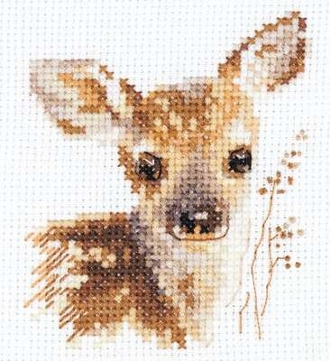 Fawn