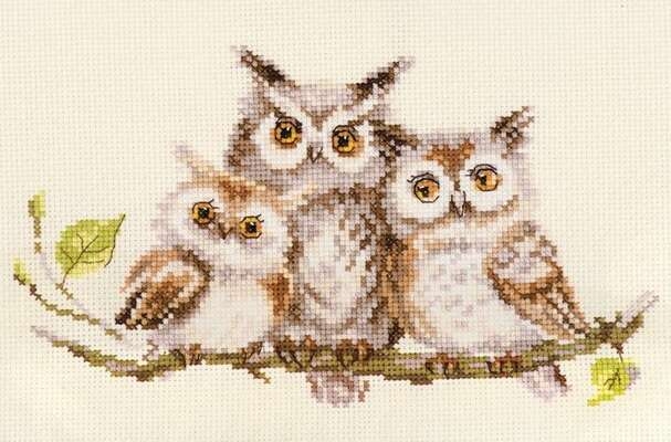 Owls