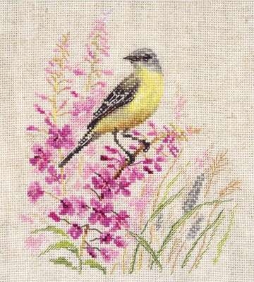 Wagtail