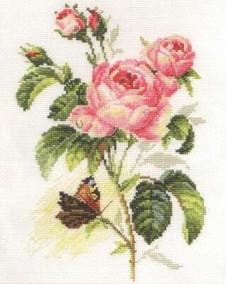 Rose and Butterfly