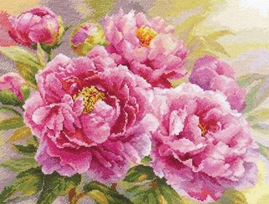 Peonies