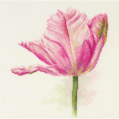 Tulips Light Pink