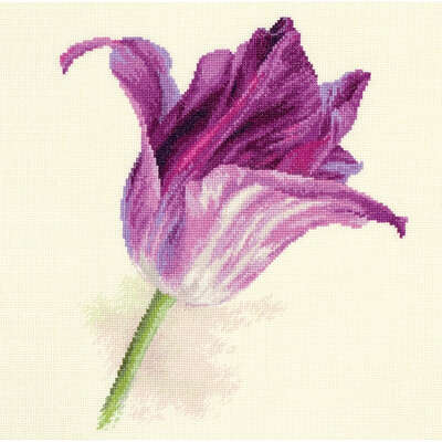 Tulips Lilac Velvet