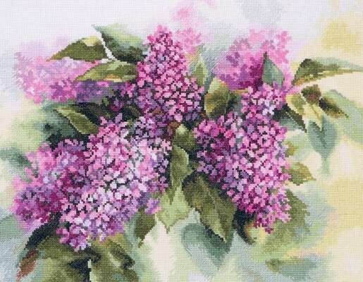 Watercolour Lilac