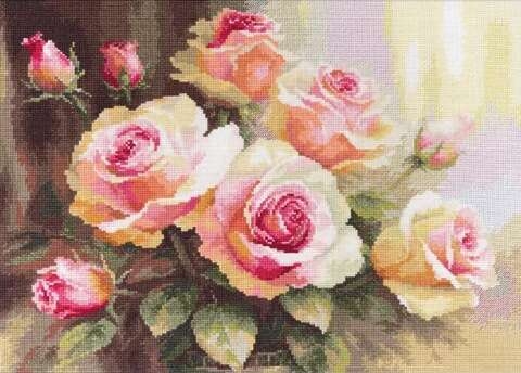 Roses in the Sunlight