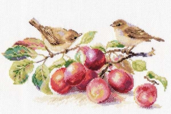 Warblers and Plums