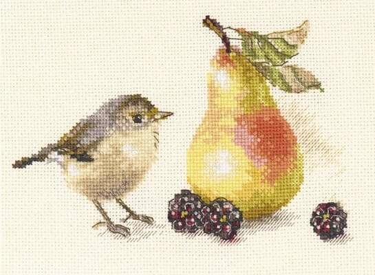 Bird and a Pear