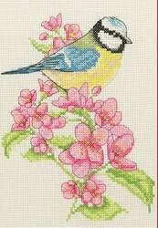 Blue Tit and Blossom