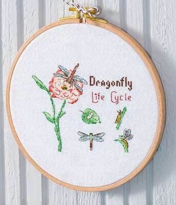 Dragonfly Life