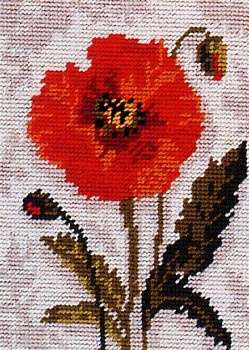 Tapestry Kit Poppy Scape Size: 30 x 22 cm Anchor KT126K