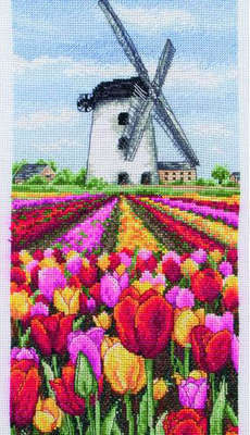 Dutch Tulips Landscape