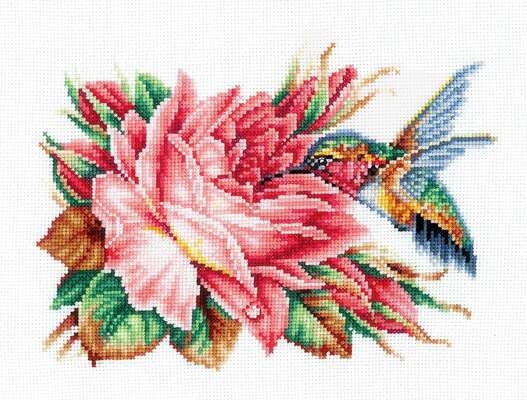 Hummingbird and Roses