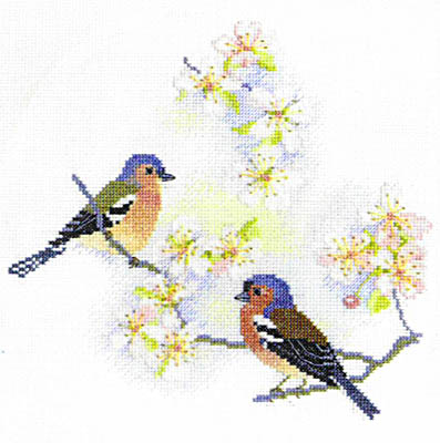Chaffinches and Blossoms