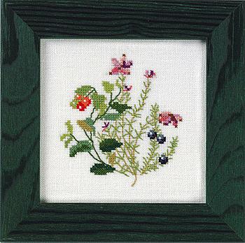 Mini picture heathland flowers