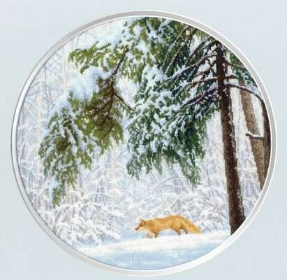 Winter Forest