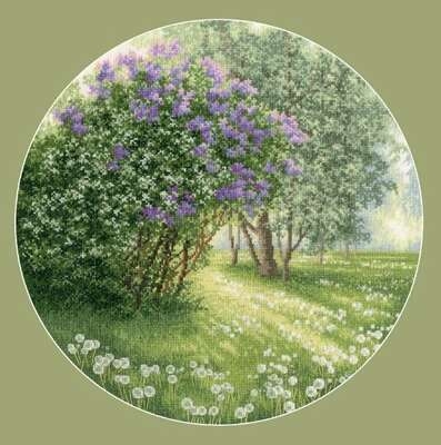 Blooming Lilac