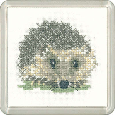 Hedgehog Coaster