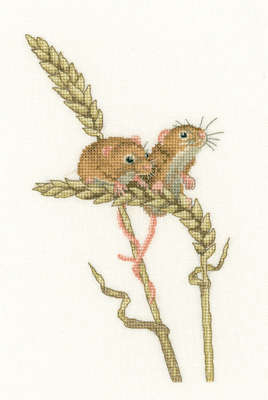 Harvest Mice