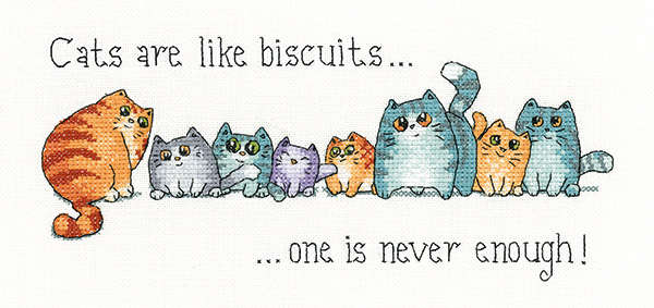 Cats and Biscuits