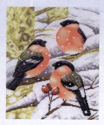 Bullfinches in Winter