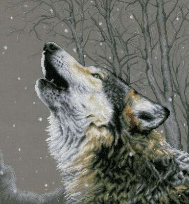 Howling at the Stars
