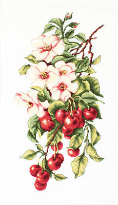 Composition with Cherries
