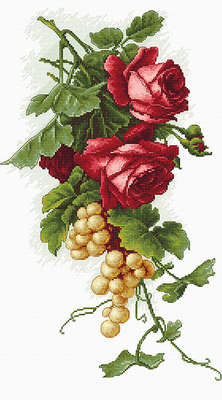 Red Roses and Grapes