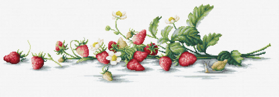 Spray of Strawberries