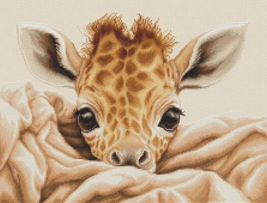 The Baby Giraffe