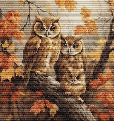 The Owls Family