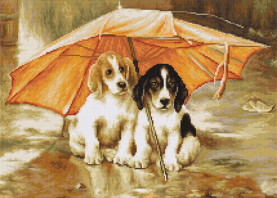 Dogs under an Umbrella