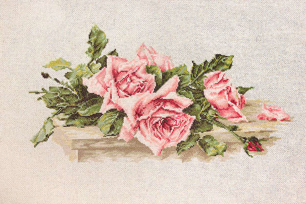 Pink Roses on a Shelf