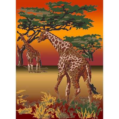 Savane Girafes