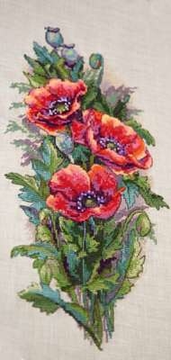 Vintage Poppies