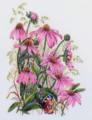 Coneflowers