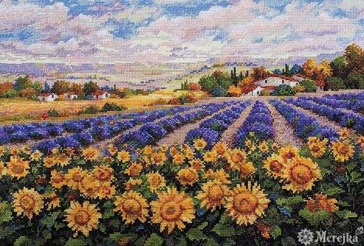 Fields of Lavender and Sunflowers