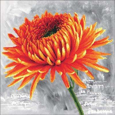 Orange Dahlia