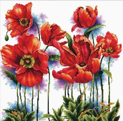 Lovely Poppies