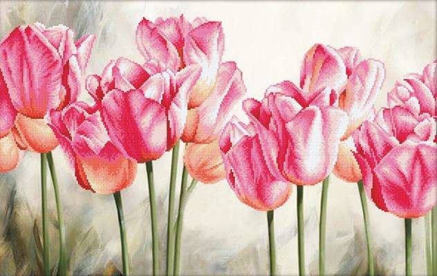 Pink Tulips