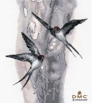 Swallows