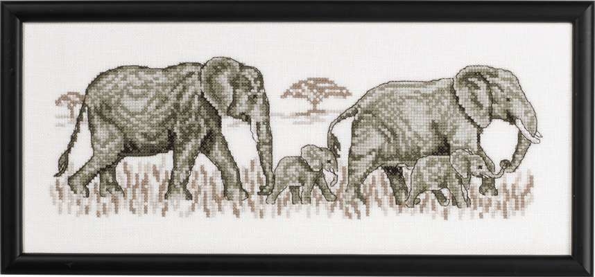 Elephants