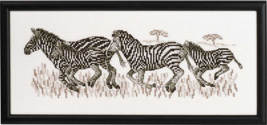 Zebras - click for larger image