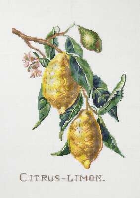 Citrus - Lemon - click for larger image